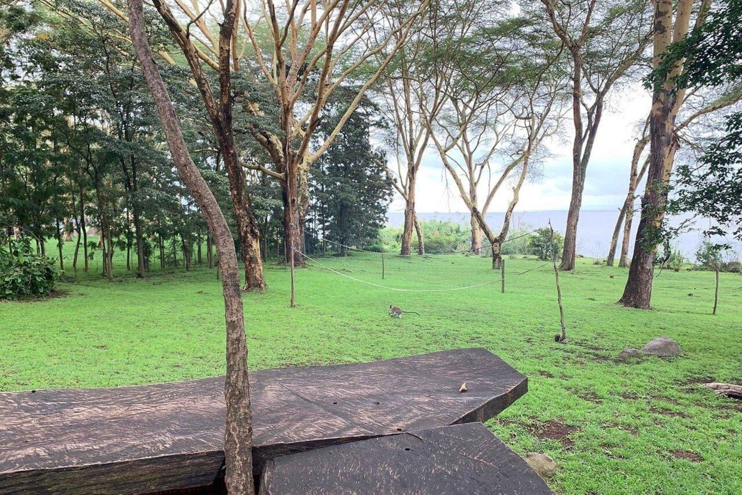 Lake Naivasha: Fisherman’s Camp Guided Tour