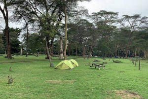 Lake Naivasha: Fisherman’s Camp Guided Tour