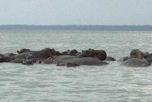 Lake Naivasha: Fisherman’s Camp Guided Tour