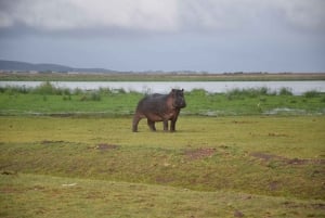 ナイバシャ湖ツアー：カヤック、サイクリング、ヘルズ・ゲートをハイキング！