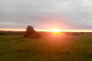 ナクル湖1泊2日サファリ。