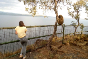 ナクル湖1泊2日サファリ。