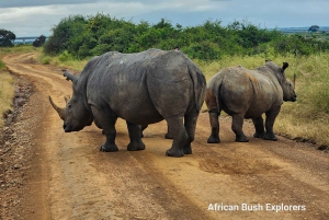 ナクル湖1泊2日サファリ。