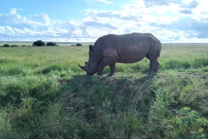 ナクル湖1泊2日サファリ。