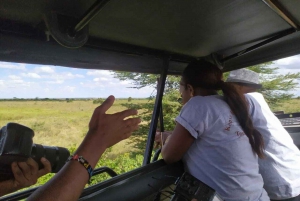 Dagstur til Nakuru-søen i nationalparken fra Nairobi