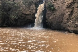 Excursion d'une journée au parc national du lac Nakuru depuis Nairobi