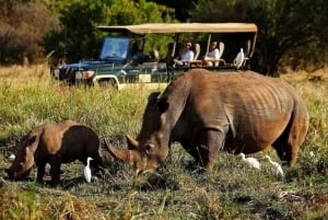 Excursion d'une journée au parc national du lac Nakuru depuis Nairobi