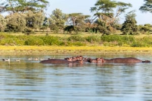 Lake Nakuru National Park Day Trip