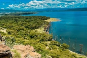 Parc national du lac Nakuru : excursion d'une journée en jeep 4x4 privée