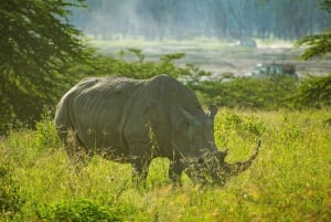 Parc national du lac Nakuru : excursion d'une journée en jeep 4x4 privée