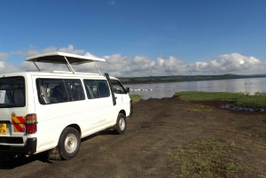 Lake Nakuru National Park: Full-Day Tour