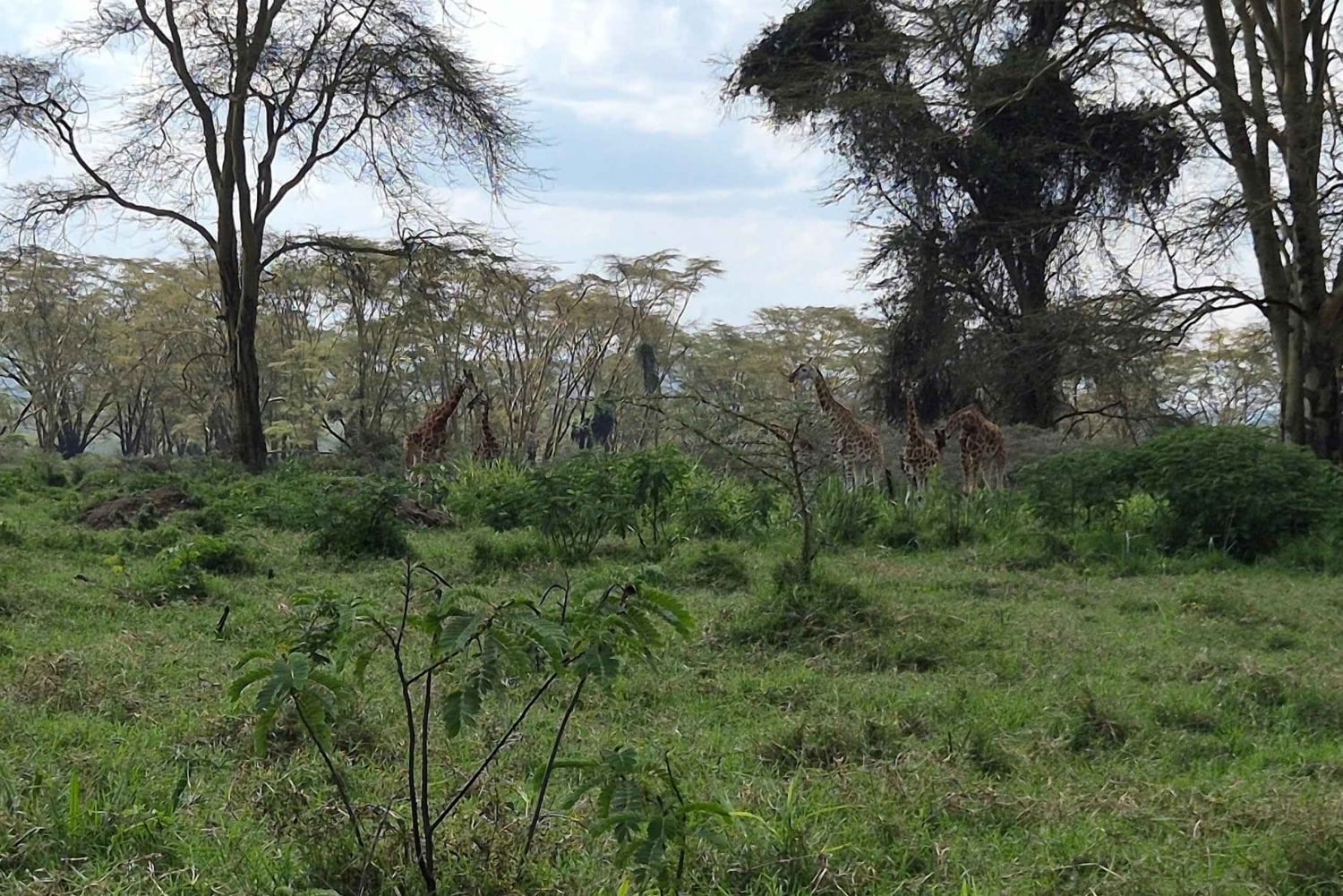 ナクル湖国立公園への1日旅行をお楽しみください