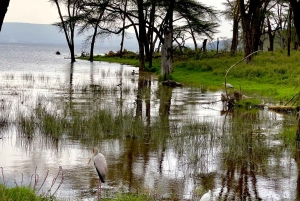ナクル湖国立公園への1日旅行をお楽しみください