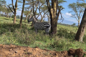 ナクル湖国立公園への1日旅行をお楽しみください
