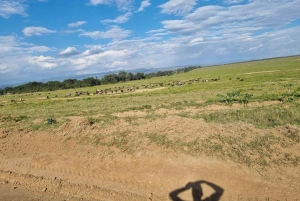 ナクル湖国立公園への1日旅行をお楽しみください