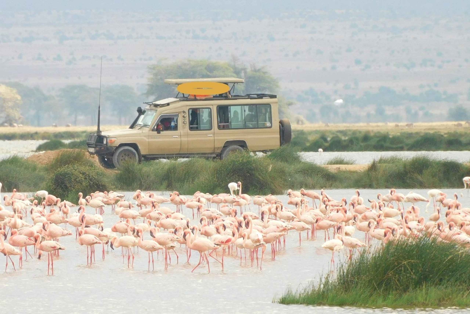 Lake Nakuru National park & Hell’s Gate Day Safari