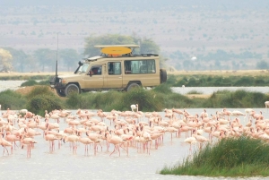 Lake Nakuru National park & Hell’s Gate Day Safari
