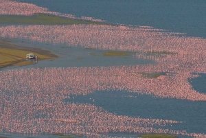 Lake Nakuru National park & Hell’s Gate Day Safari