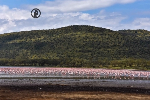 Lakes Nakuru& Naivasha National Park Wildlife Highlights