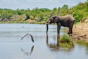 Experience Kenya's Summer Spectacular: Top Adventure Activities