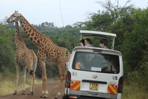Safari in jeep al parco del lago Nakuru e safari in barca al lago Naivasha