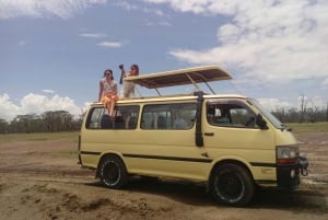 Safari dans le parc du lac Nakuru et sortie en bateau sur le lac Naivasha