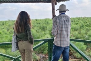 Przejażdżka łodzią po Jeziorze Wiktorii, obserwacja hipopotamów i ptaków