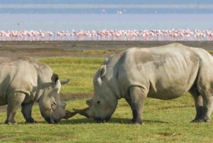Lakes Nakuru& Naivasha National Park Wildlife Highlights