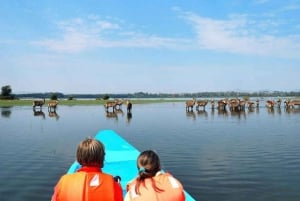 Lakes Nakuru& Naivasha National Park Wildlife Highlights
