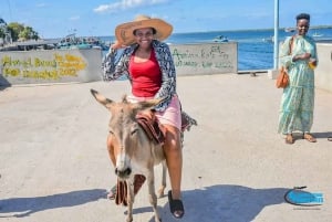 Kulturell och historisk stadsvandring i Lamu.