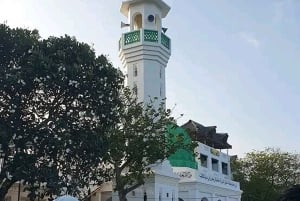 Lamu: Guidad tur i Gamla stan, fortet och museet