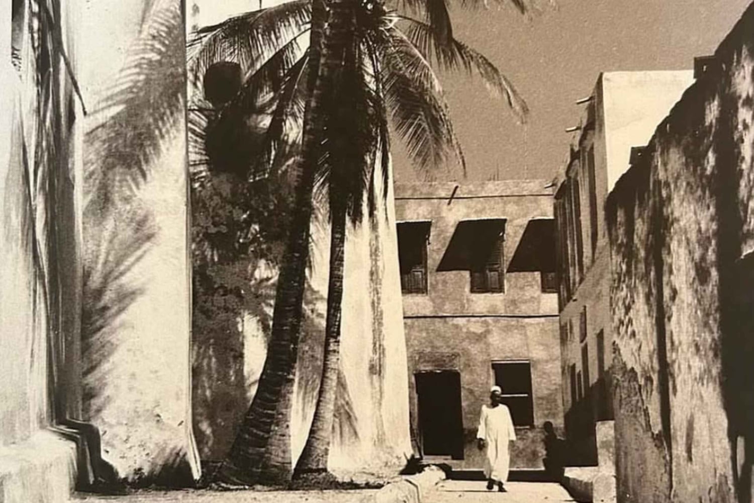 Lamu: Old Town Tour, Swahili Lunch, and Sunset Dhow Cruise