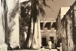 Lamu: tour della città vecchia, pranzo swahili e crociera in dhow al tramonto