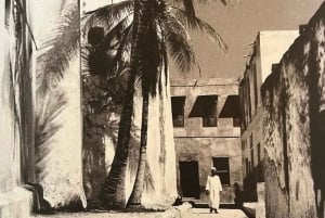 Lamu: Old Town Tour, Swahili Lunch, and Sunset Dhow Cruise