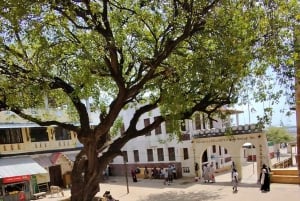 Casco antiguo de Lamu: tour a pie por el patrimonio vivo de Kenia