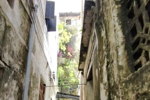Casco antiguo de Lamu: tour a pie por el patrimonio vivo de Kenia