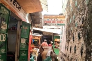 Casco antiguo de Lamu: tour a pie por el patrimonio vivo de Kenia