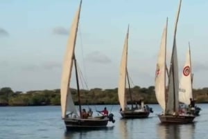 Lamu : Excursion en Boutre Traditionnel au Coucher du Soleil