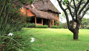 Lewa Wilderness