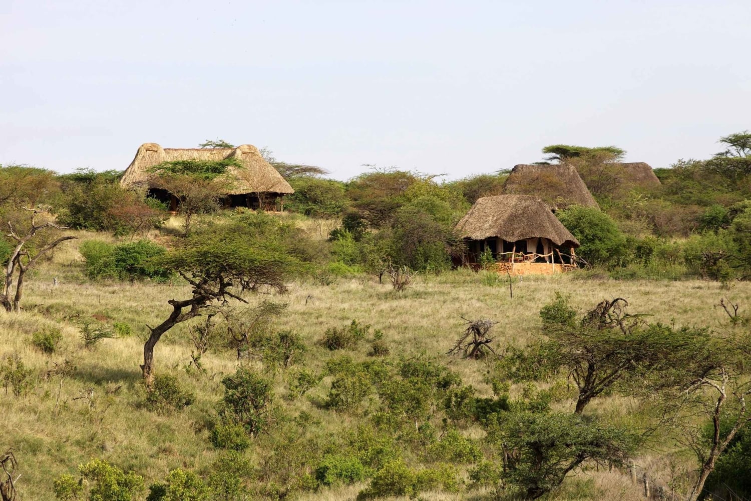 Lewa Wildlife Conservancy: 3-Day Private Safari Adventure