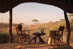 Lewa Wildlife Conservancy: 3-Day Private Safari Adventure