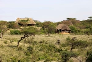 Lewa Wildlife Conservancy: 3-Day Private Safari Adventure