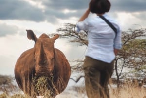 Lewa Wildlife Conservancy: 3-Day Private Safari Adventure