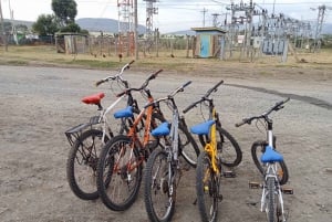 Tour in bici a Hell's Gate e tour in barca sul lago Naivasha