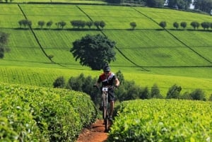 Limuru: 2-Day Tea, Art, and Waterfalls Tour