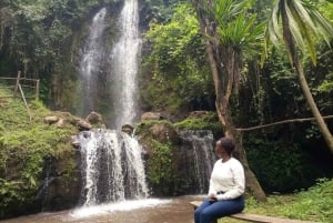 Limuru: 2-Day Tea, Art, and Waterfalls Tour