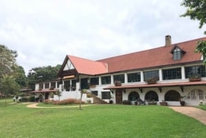 Limuru: 2-Day Tea, Art, and Waterfalls Tour