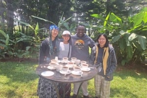 Limuru: Fairview Coffee Estate Guided Tour