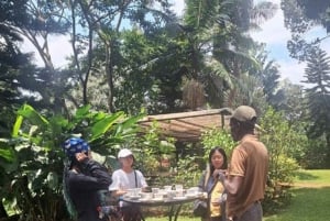 Limuru: Fairview Coffee Estate Guided Tour