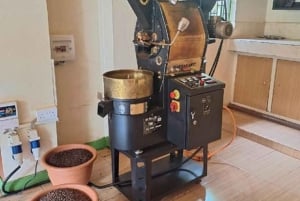 Limuru: Fairview Coffee Estate Guided Tour